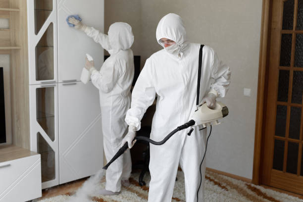Certified Mold Removal in Mayville, ND